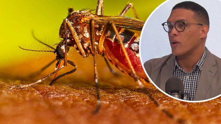 Adrian Puello: ‘‘El dengue en República Dominicana siempre circulará’’