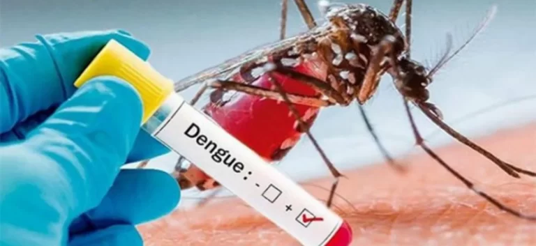 Aumentan denuncias de casos de dengue en varios sectores de la capital
